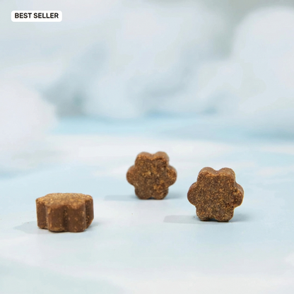 The Dog Standard™ Daily Multivitamin